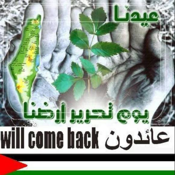 Meet your Posher, Ghada - Picture 1 of 1